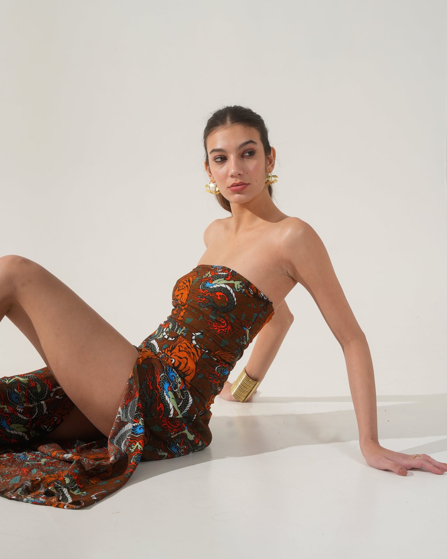 Moon Tube Fit Tiger Motif Dress