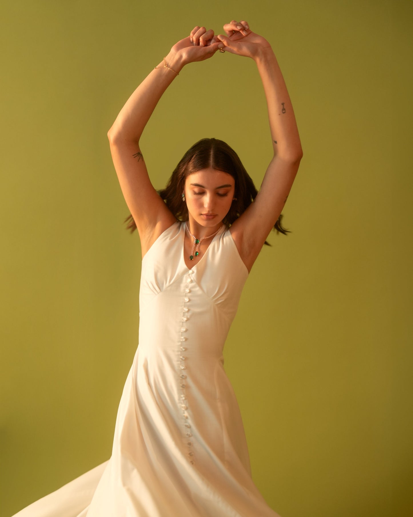 Moon A-Line Fitted Dress With Zipper At Back