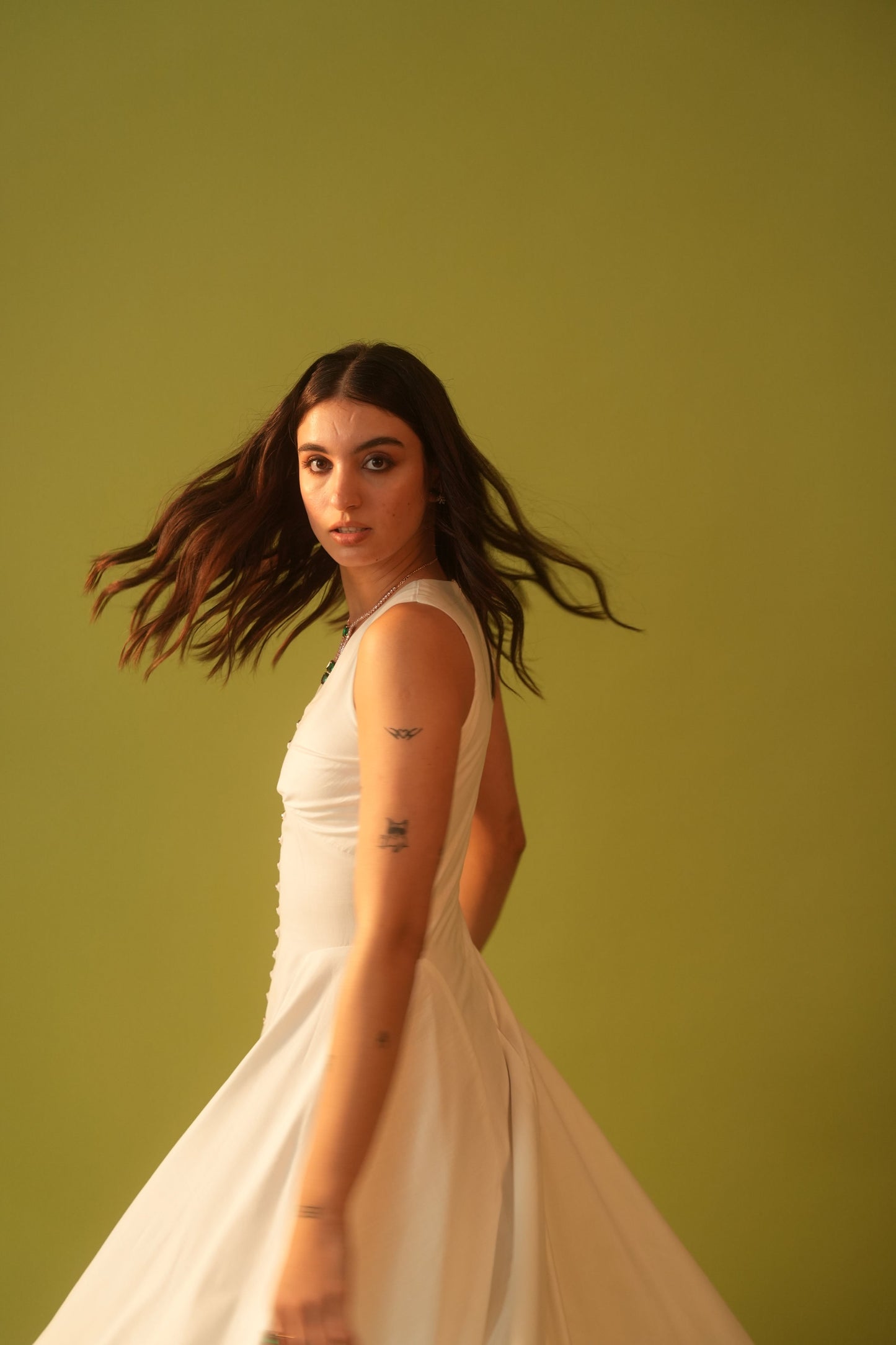 Moon A-Line Fitted Dress With Zipper At Back