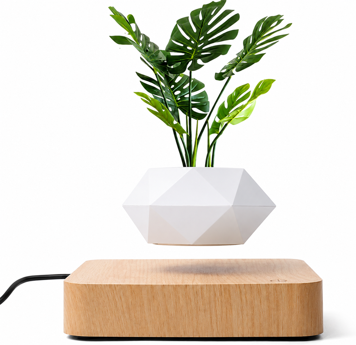 Magnetic Levitating Bonsai Pot