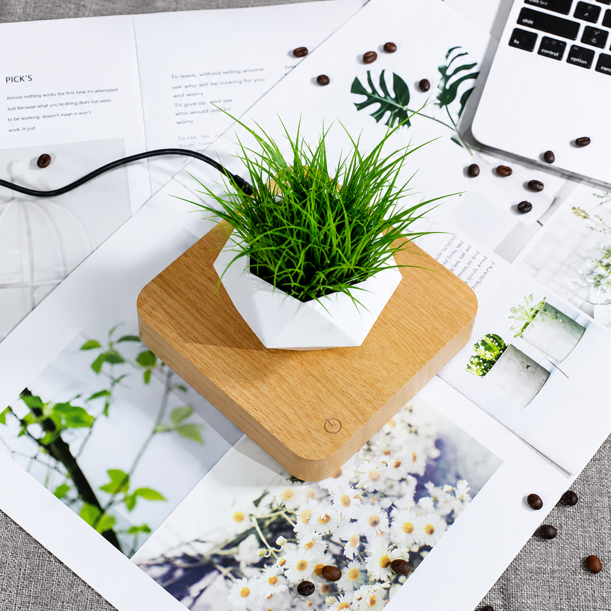 Magnetic Levitating Bonsai Pot