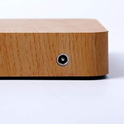 Magnetic Levitating Bonsai Pot