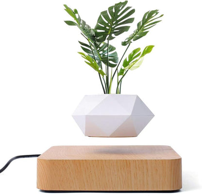 Magnetic Levitating Bonsai Pot