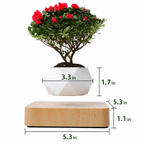 Magnetic Levitating Bonsai Pot