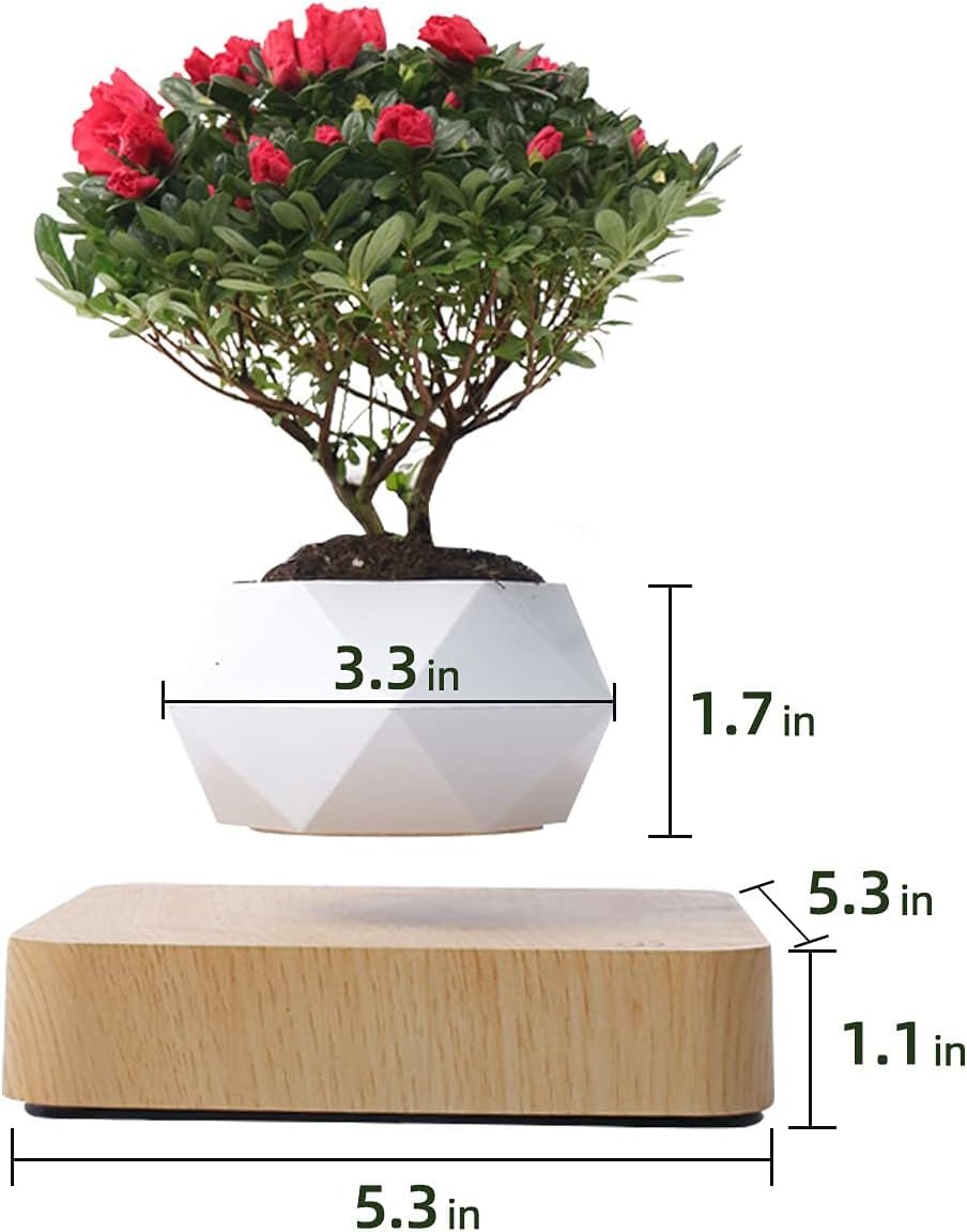 Magnetic Levitating Bonsai Pot