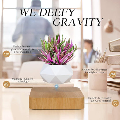 Magnetic Levitating Bonsai Pot