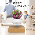 Magnetic Levitating Bonsai Pot