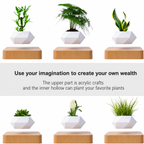 Magnetic Levitating Bonsai Pot
