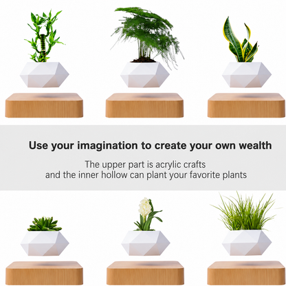 Magnetic Levitating Bonsai Pot