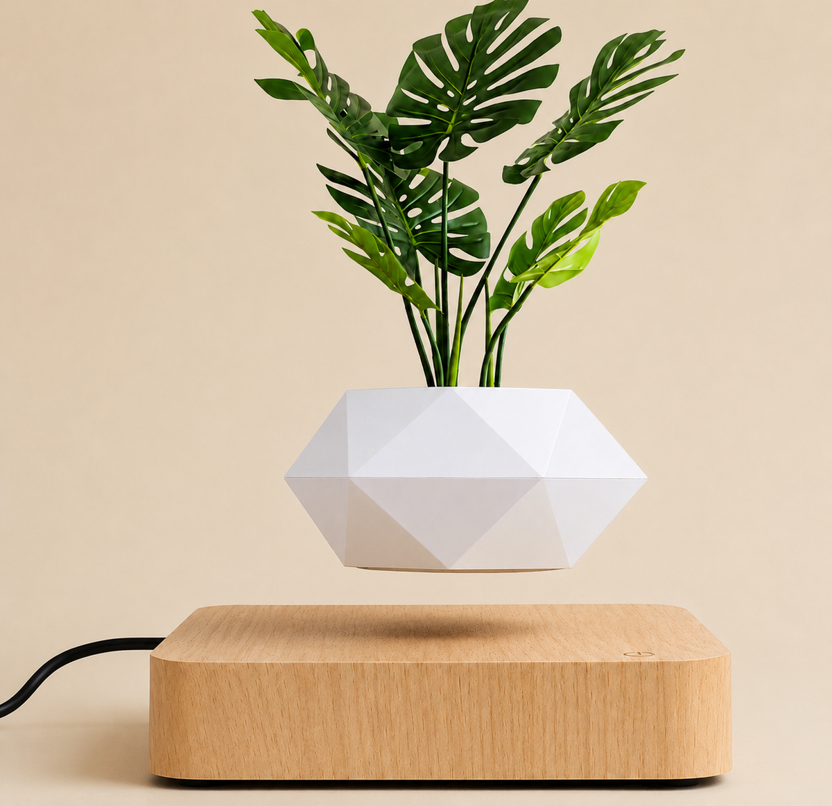 Magnetic Levitating Bonsai Pot