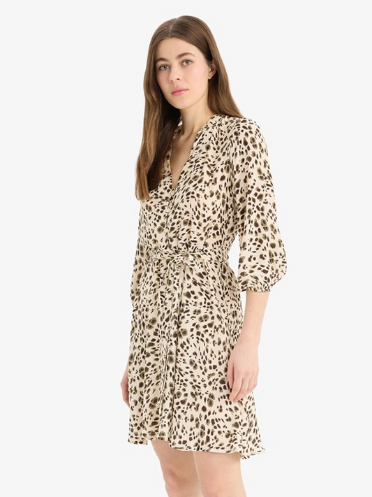 Leopard Print Flared Dress