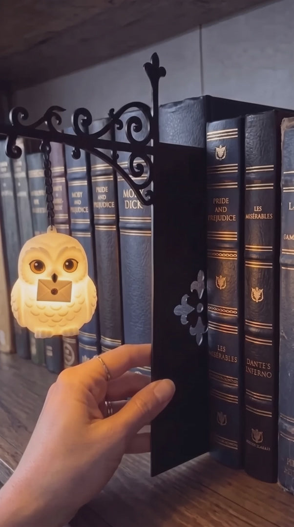 Shelfspirits Harry Potter Bookshelf Figurine Lamp